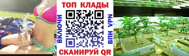 Купить наркоту Кириши Каннабис Alpha-PVP МЕФ