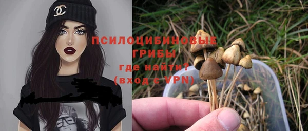 наркотики Белокуриха