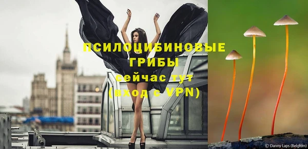 MESCALINE Богданович