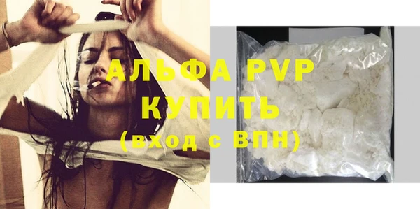 индика Богородск