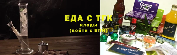 индика Богородск