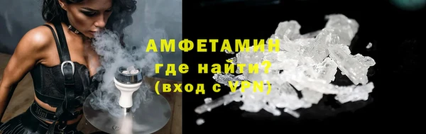 индика Богородск