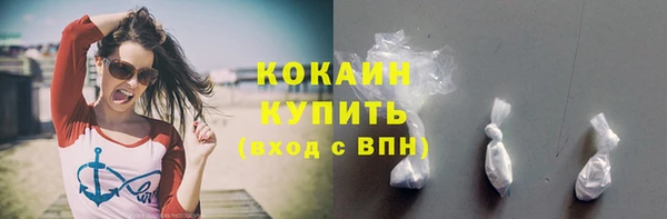 твердый Богородицк