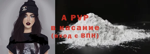 индика Богородск