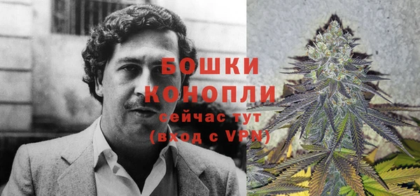 индика Богородск