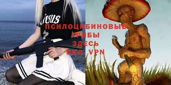 твердый Богородицк