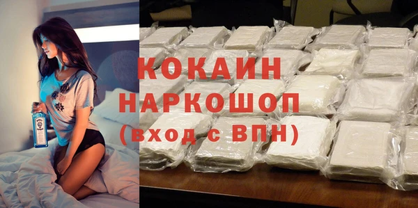 индика Богородск