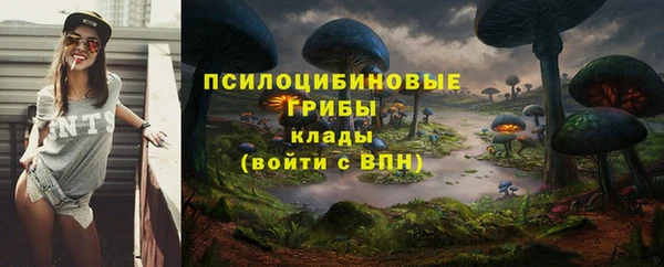 твердый Богородицк