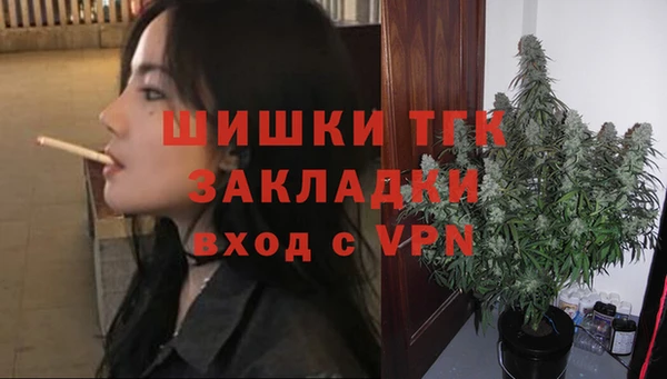 твердый Богородицк