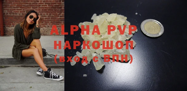 индика Богородск