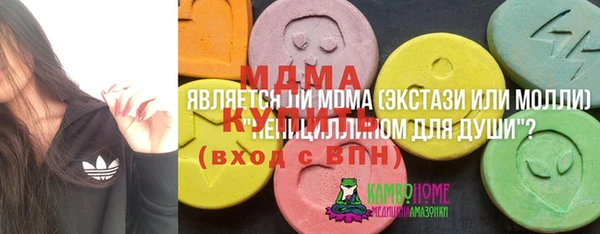 индика Богородск