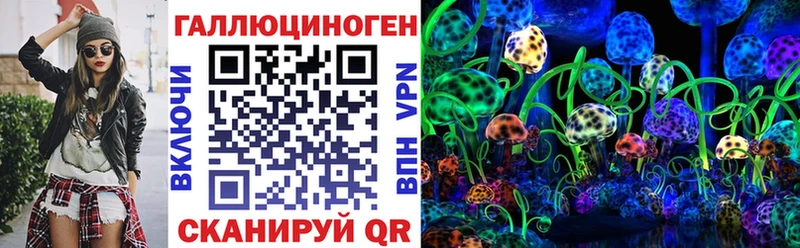 MEGA ТОР Кириши Псилоцибиновые грибы Psilocybine cubensis