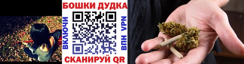 Канабис сатива Кириши